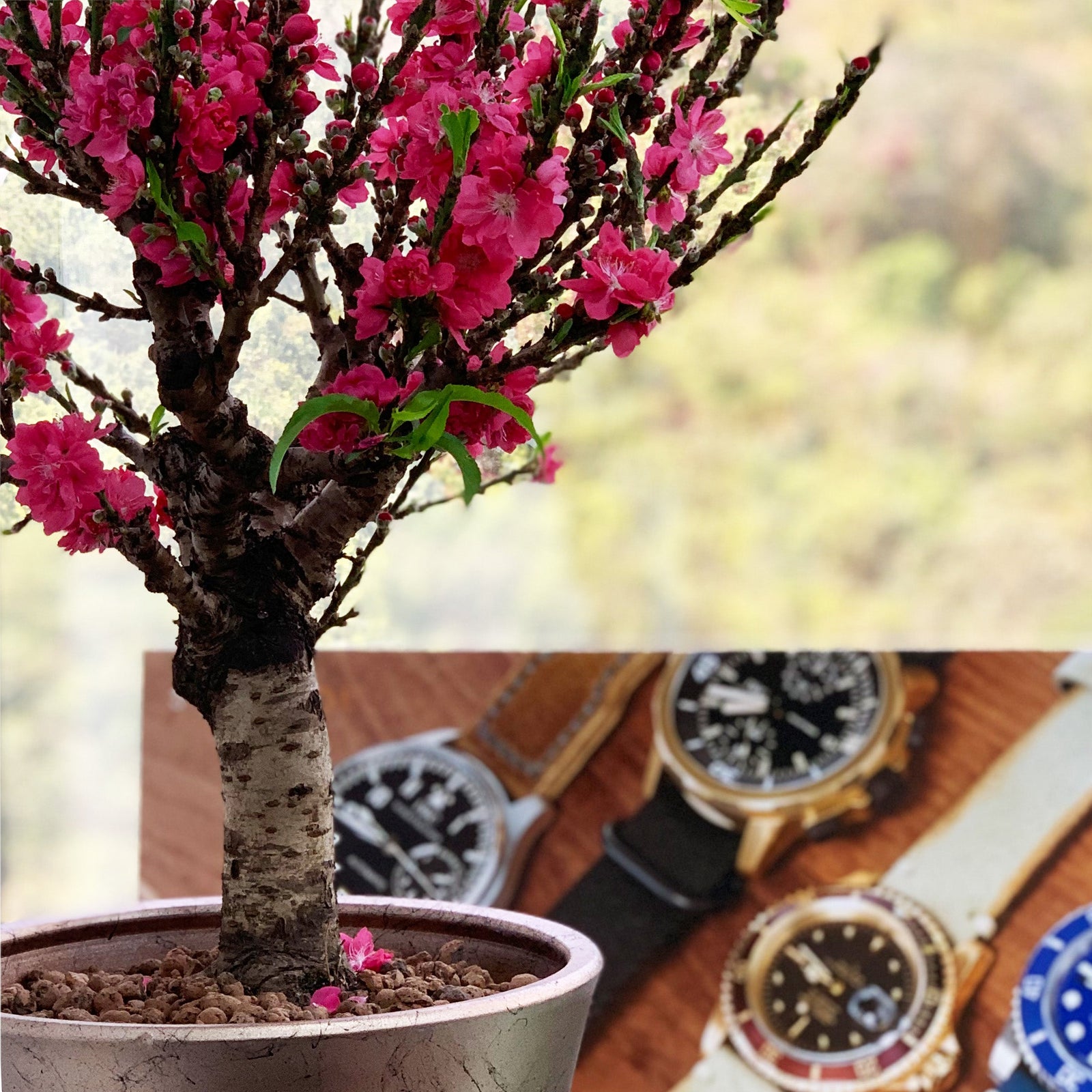 CNY 2022 Greetings & The Best CNY Gold Seiko Watches
